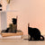 Dekorative Katzenbuchstützen