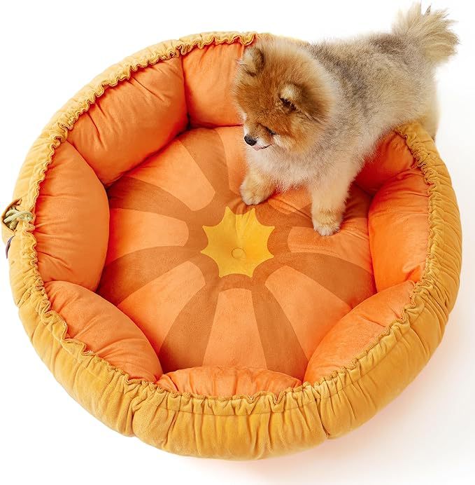 Gemütliches Rundes Kürbisförmiges Hundebett