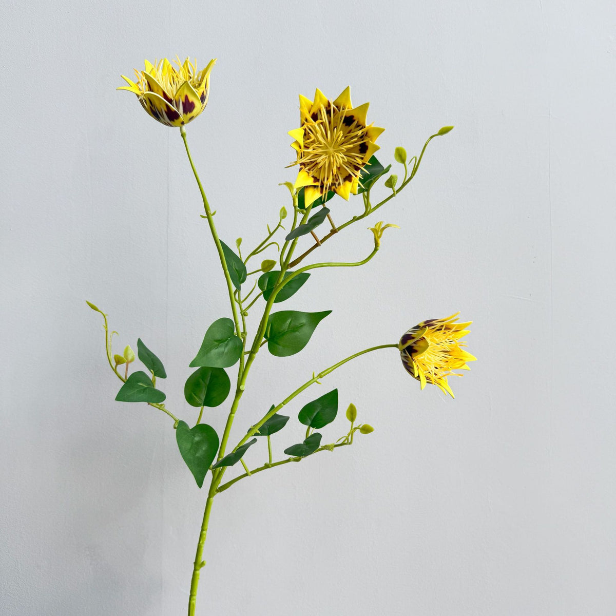 Exotische Flora Anordnung