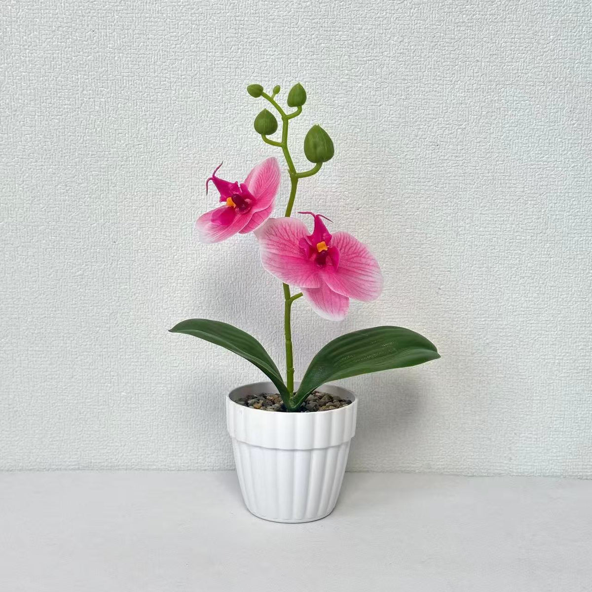 Lebensechte Orchidee Pflanze in dekorativem Keramiktopf für Dekor