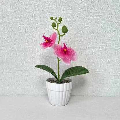 Lebensechte Orchidee Pflanze in dekorativem Keramiktopf für Dekor