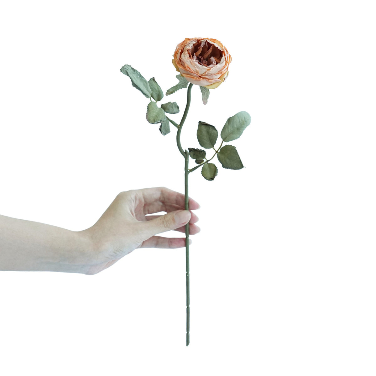Lebensechte Rosenstiel Dekoration