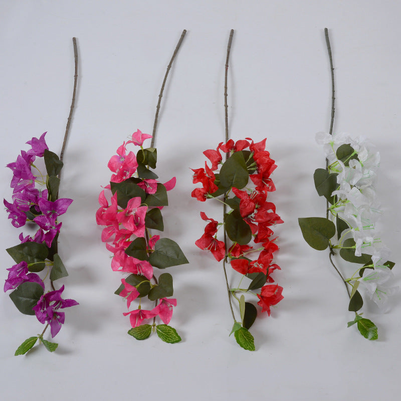 Dekorative Bougainvillea Blumenranke
