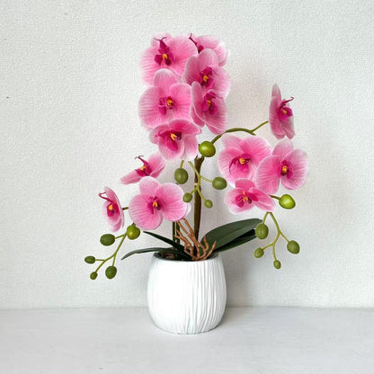 Realistische Orchideen Blumenarrangement