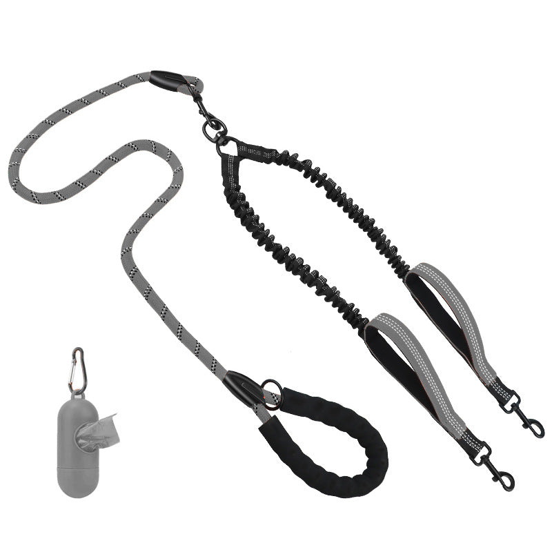 Hundetraining Leine