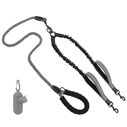 Hundetraining Leine