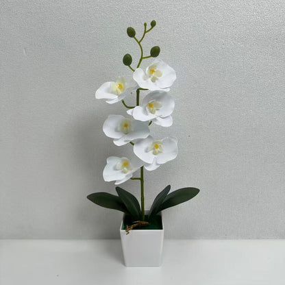 Elegante Künstliche Orchidee