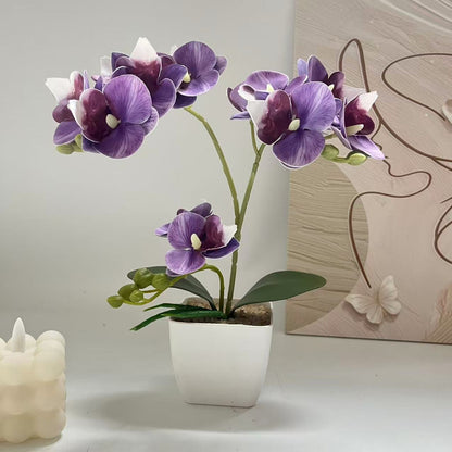 Lebensechte Orchideenpflanzenanordnung für die Heimpräsentation