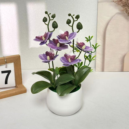 Orchideen Blumenarrangement