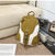 Multi-Funktionale Natur-Bereit Schulrucksack
