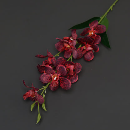 Elegante Faux-Orchideenstängel für die Heimdekoration