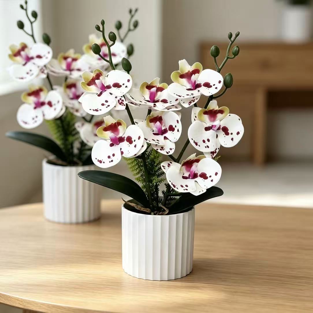Realistische Orchideenpflanzenanordnung