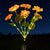 Solarbetriebene dekorative Sonnenblumen-Gartenstecker mit Multi-Bloom-LED-Wasserdichtem Paneel Brehn