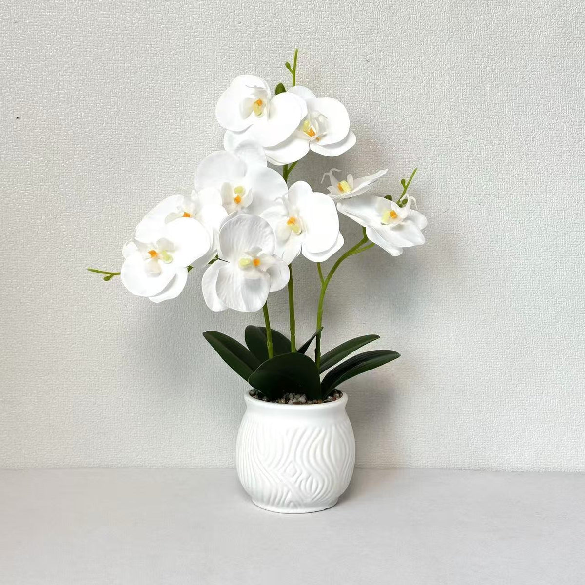 Elegante Orchideen Blumen Display