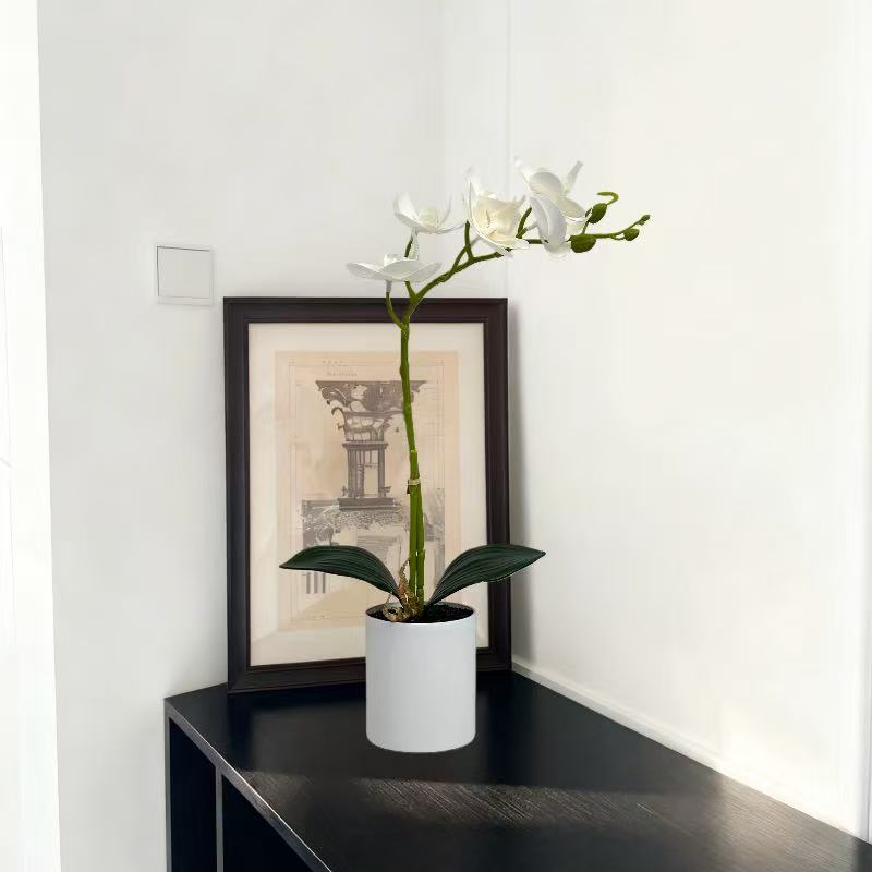Realistische Künstliche Orchideenstängel