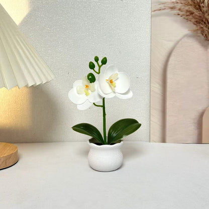 Elegante künstliche Orchideenpflanzenanordnung für die Wohnkultur-Darstellung