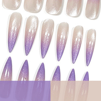 Glitter Ombre Stiletto Nagelverlängerungen Brehn