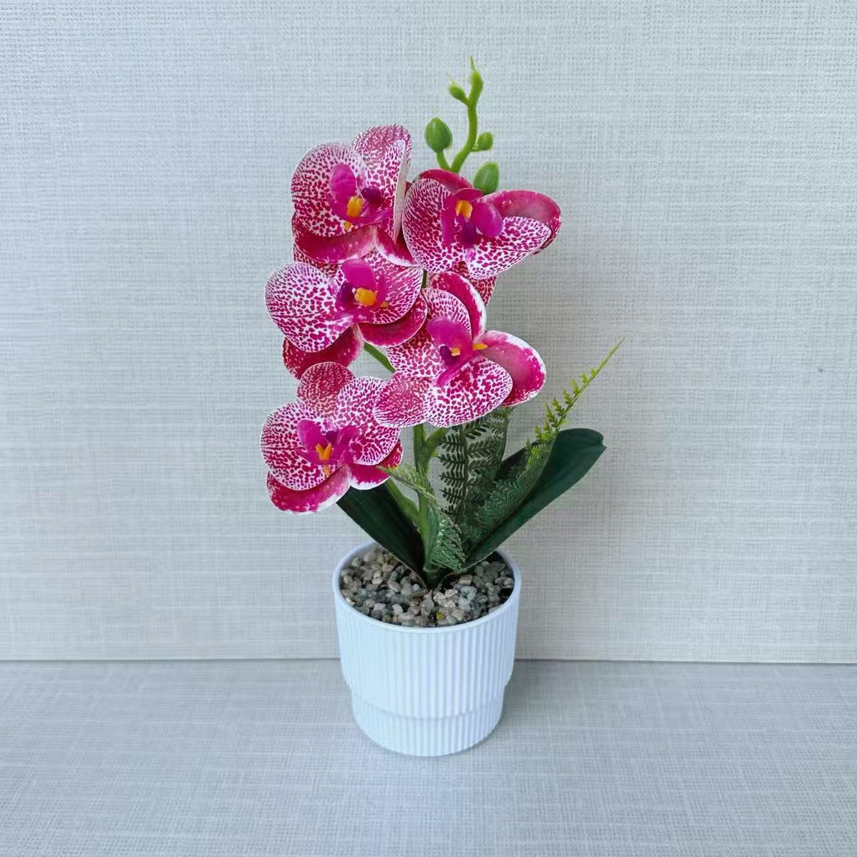 Exotische Orchideenpflanzenanordnung