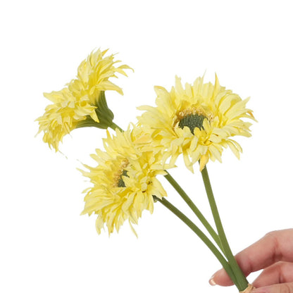 Lebensnahe Gerbera-Daisy-Stängel