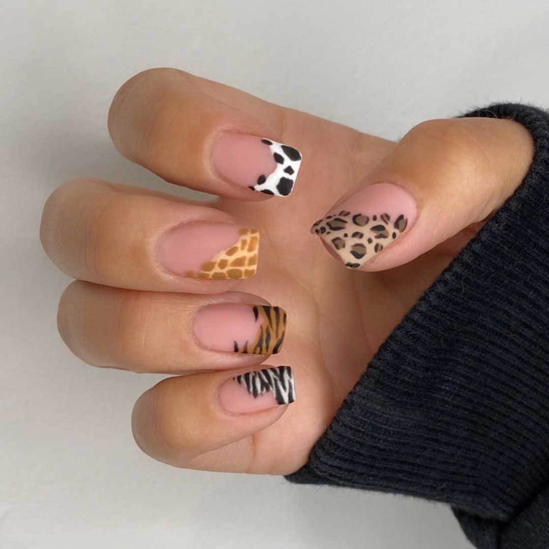 Künstlerisches Tierdruck Nagelkunst Set