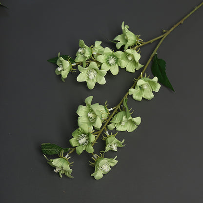 Florale Akzentstängel für die Wohnkultur-Darstellung