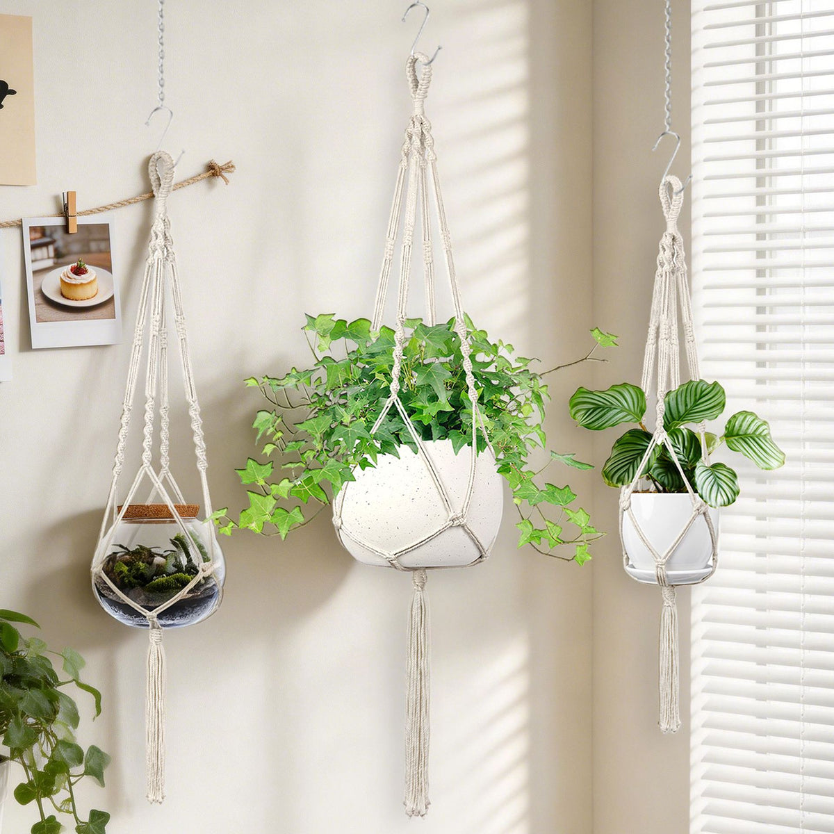 Makramee Pflanzen Hängender Halter
