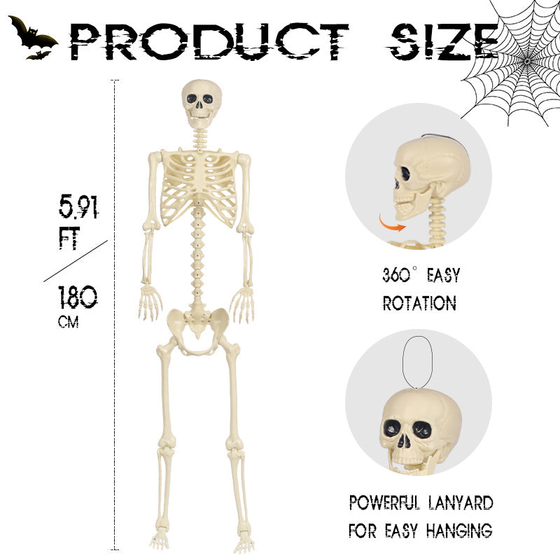 Lebensgroße Halloween-Skelett-Dekoration Brehn