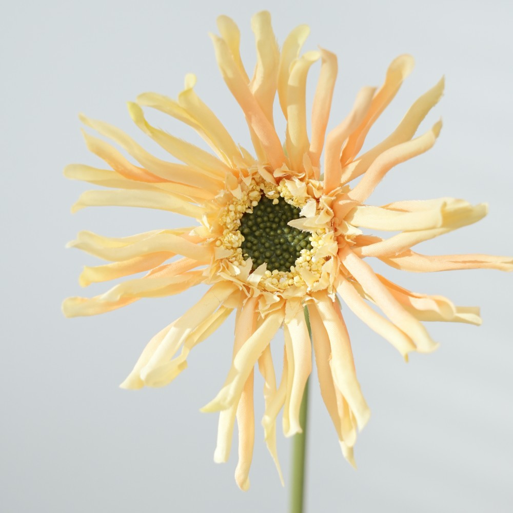 Realistische Sonnenblumenstängel
