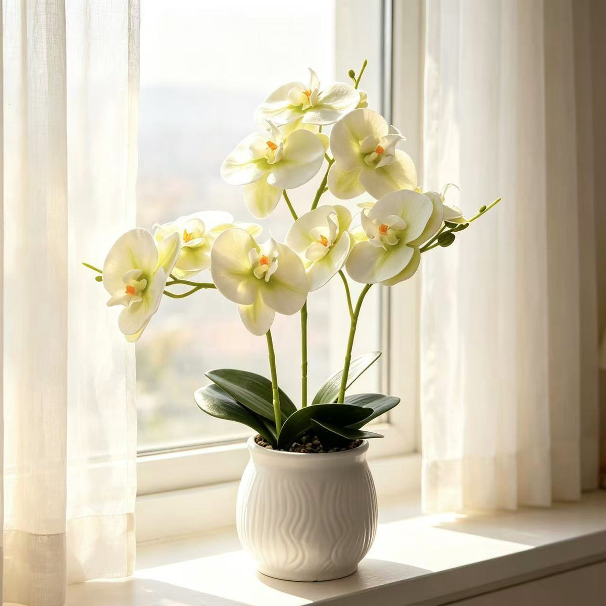 Elegante Orchideen Blumen Display