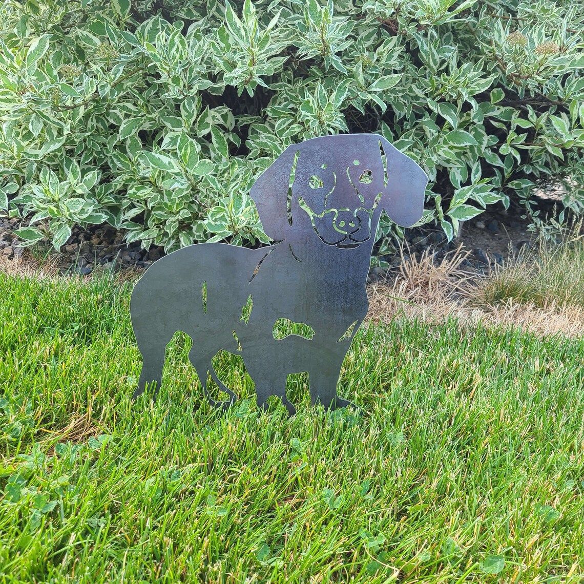 Cairn Terrier | Brehn