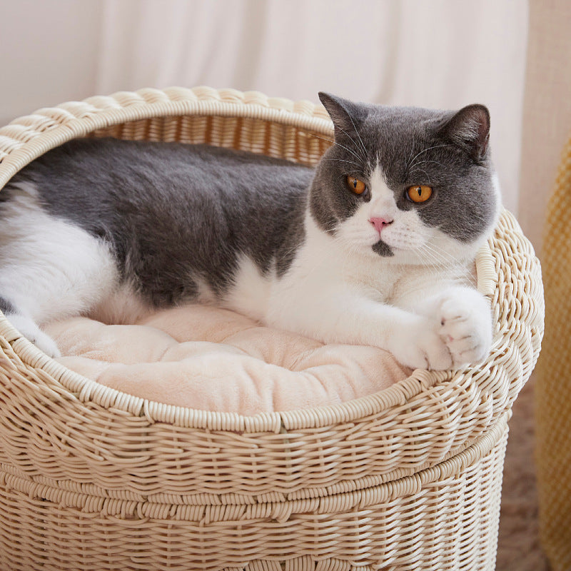 Katzenbett Brehn