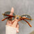 Damen Vintage-Style Sonnenbrille mit Holz-Innengestell Brehn