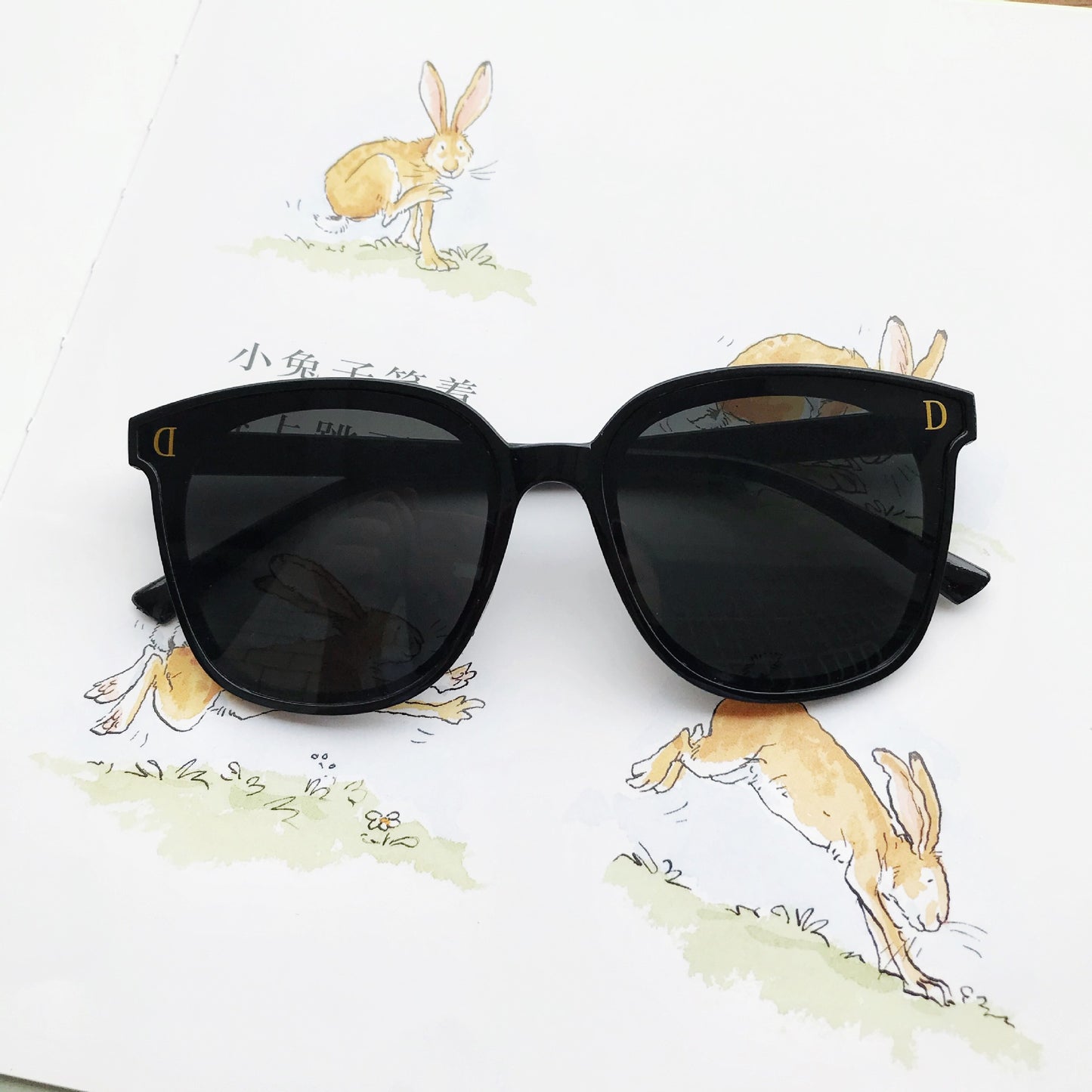 Stilvolle Übergroße Quadratische Sonnenbrille Brehn