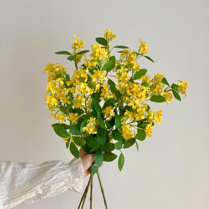 Dekorative Botanische Stängelanordnung