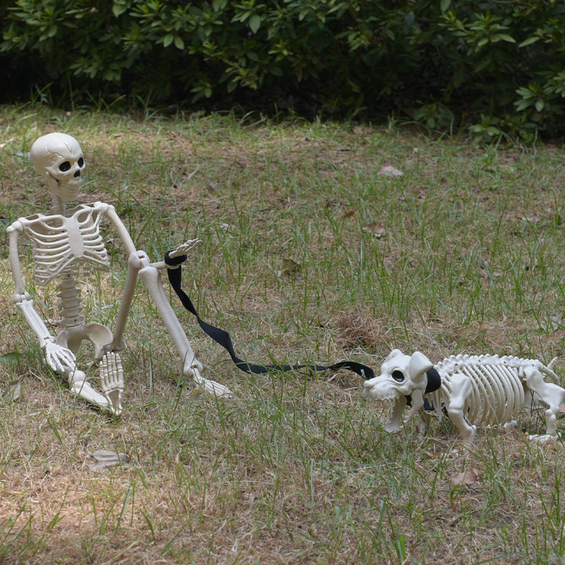 Skelett Hund Spaziergang Dekoration Brehn
