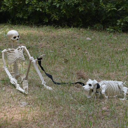 Skelett Hund Spaziergang Dekoration Brehn