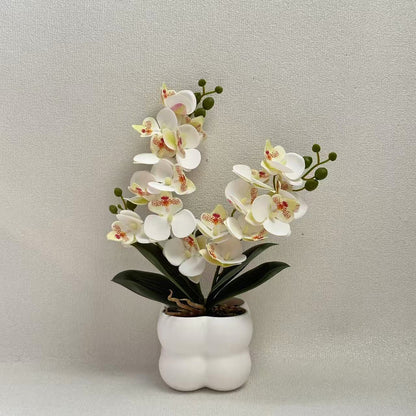 Lebensechte Orchideen Tischmittelstück