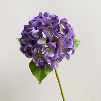 Lebensechter Hortensienstängel