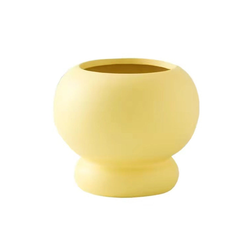 Elegante dekorative Pflanze für moderne Wohnräume