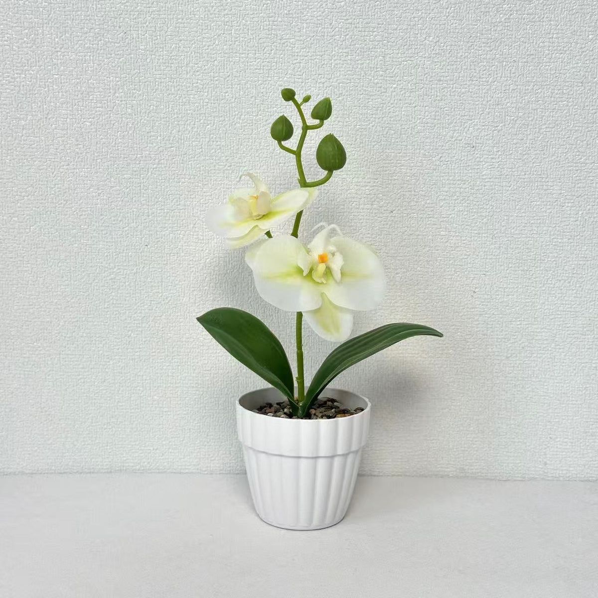 Lebensechte Orchidee Pflanze in dekorativem Keramiktopf für Dekor