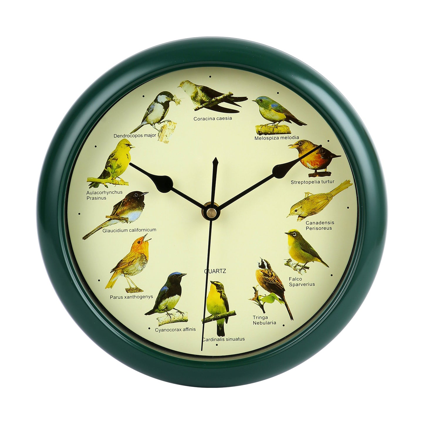 Wanduhr mit buntem Vogeldesign Brehn
