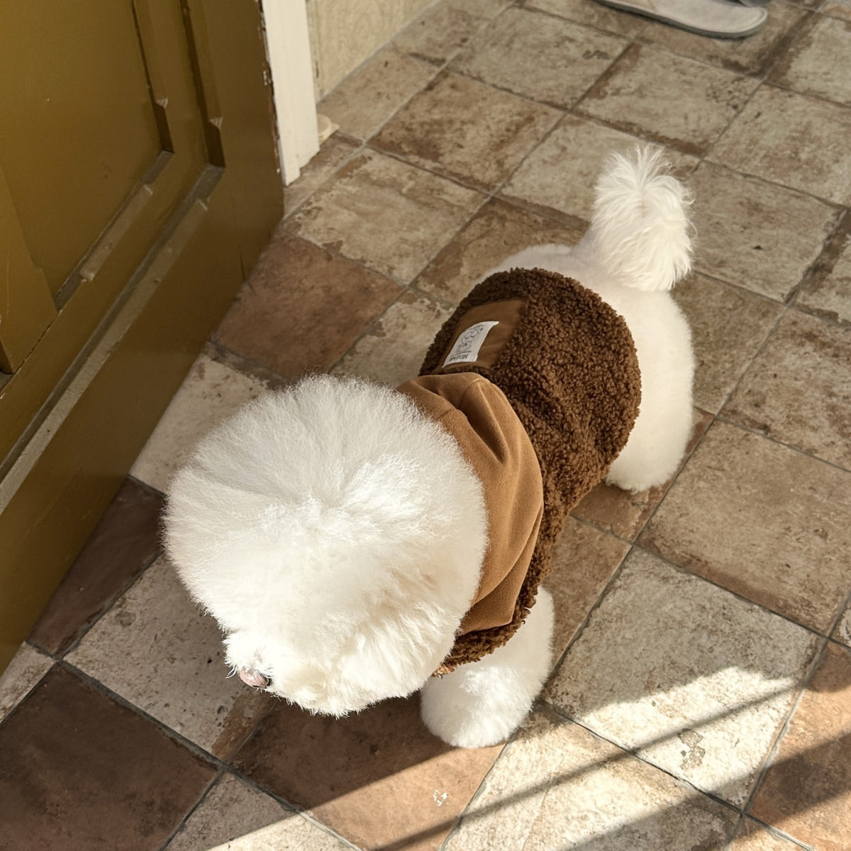 Hooded Sherpa-gefütterter Haustiermantel