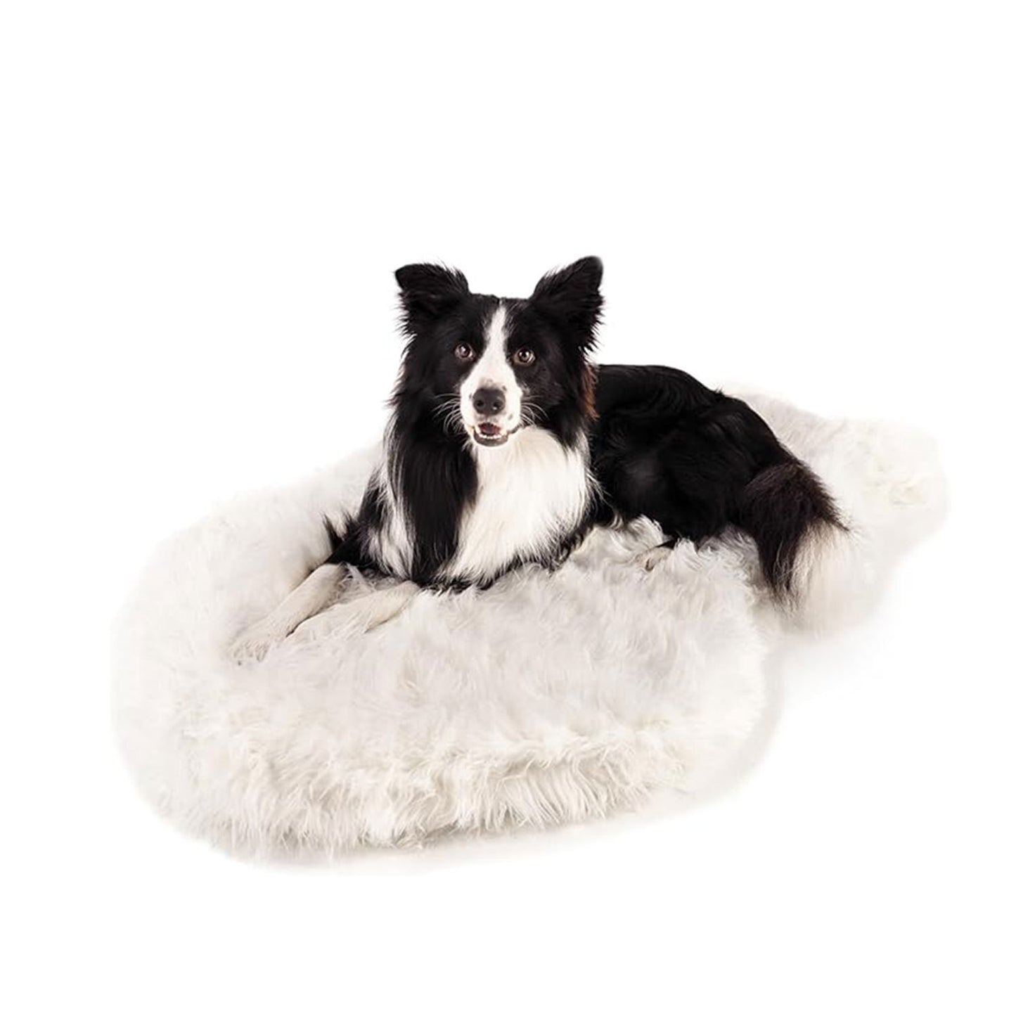 Fluffiges orthopädisches Hundebett