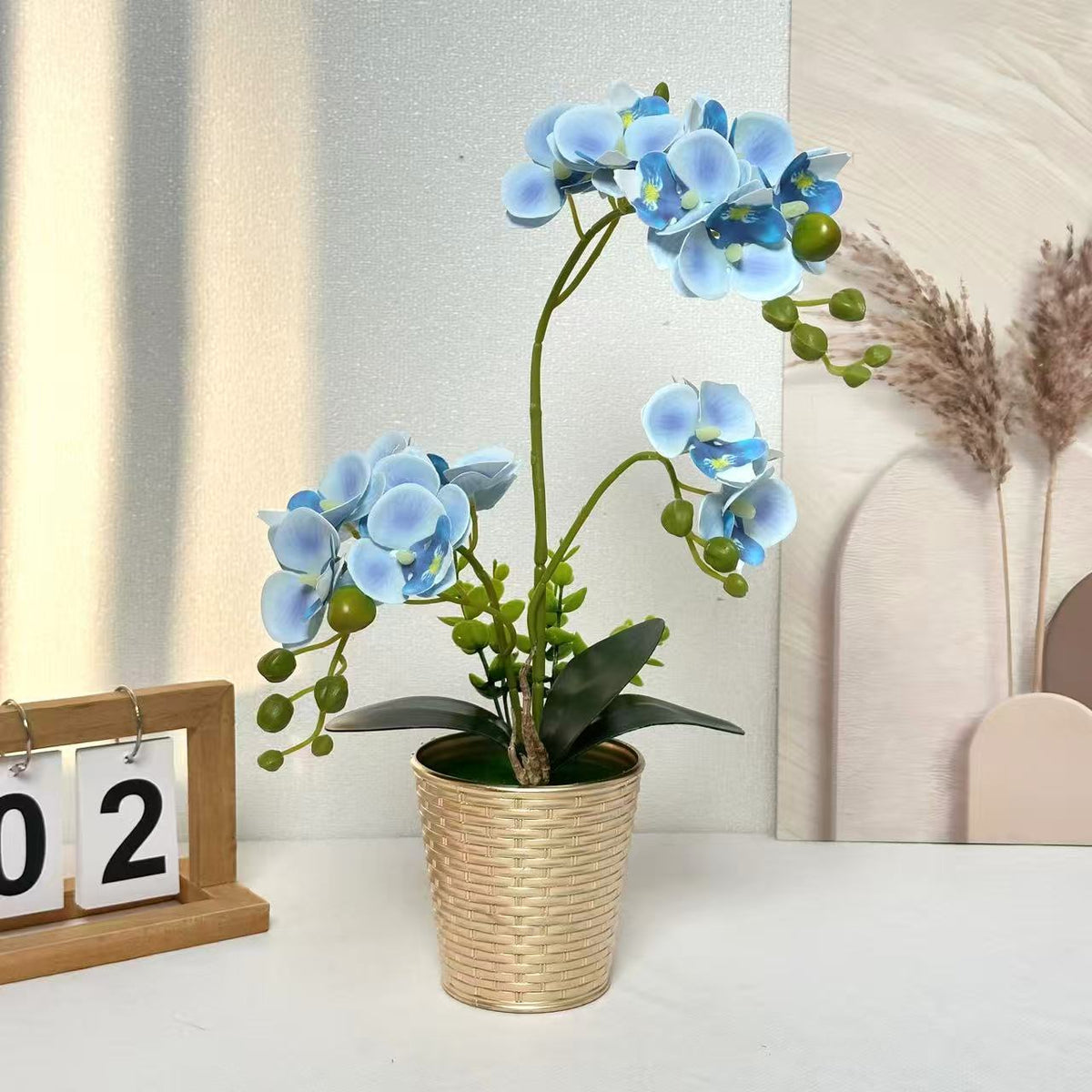 Dekorative Orchideenpflanze für Tischdeko