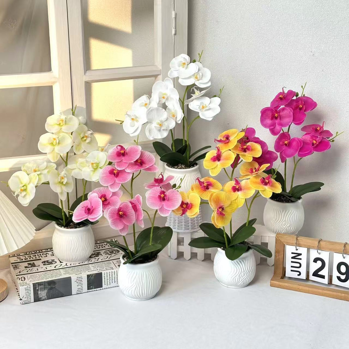 Elegante Orchideen Blumen Display