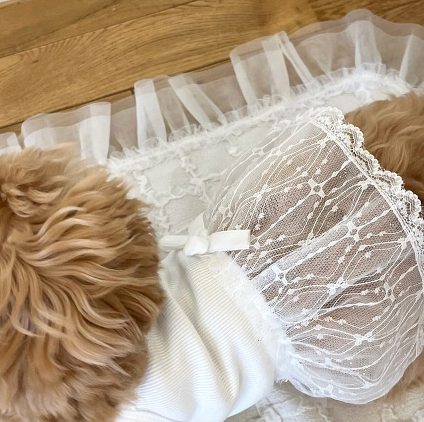 Zartes Spitzen-Tüll-Hundekleid mit gerippter Taille & Dekoration