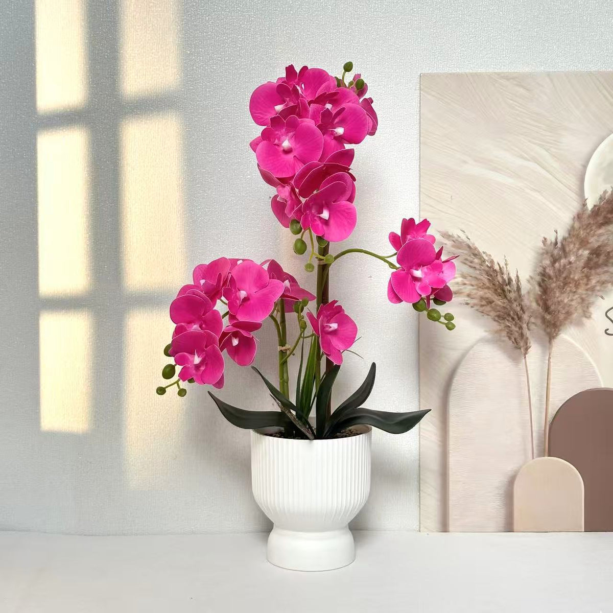 Dekorative Orchideenpflanzenarrangement 1790480695 für Dekor