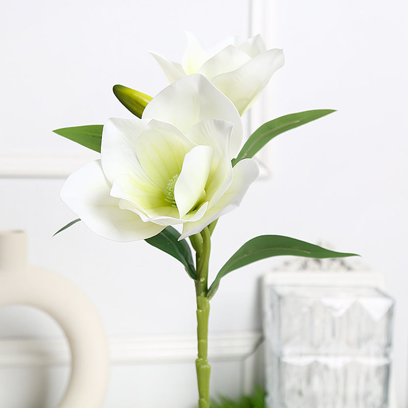 Elegantes Magnolien-Blumenarrangement für die Wohnkultur