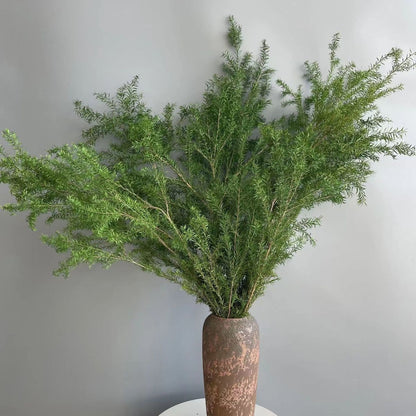 Premium Trockenblumenstiele