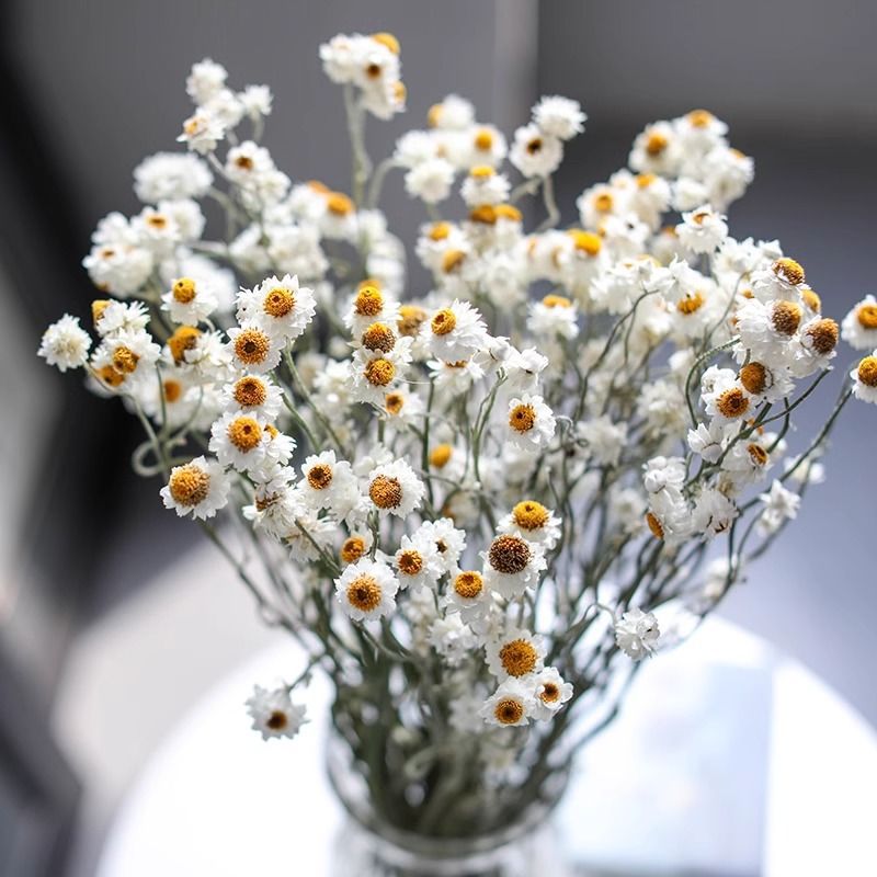 Getrockenes Blumenstrauß Arrangement